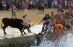 Spain Water Bulls