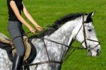 3235186-girl-jockey-riding-a-white-gray-horse